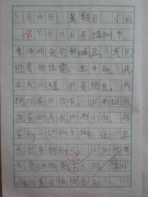 植树节日记 日记一则400字