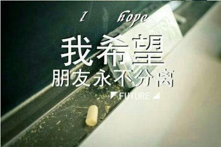 友谊无价 读《小时代》有感550字
