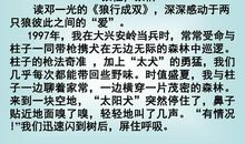 世间真情 读《狼行成双》有感700字