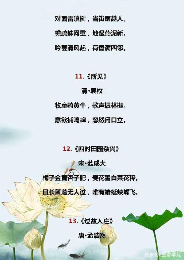 小学语文:描写夏天的好词、好句、好段,合理运用,写出满分作文 12