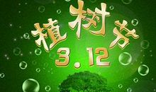 我与小树共成长 植树节作文700字