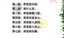 “养花”心得 《养花》读后感450字