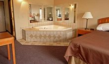 PAOLA | 《园丁与木匠》读后感