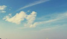 2020年高考英语必背作文：近年高考英语分作作文汇总