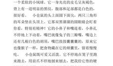 我的心爱之物仓鼠作文500字