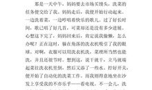 寒假里一件有趣的事作文1000字