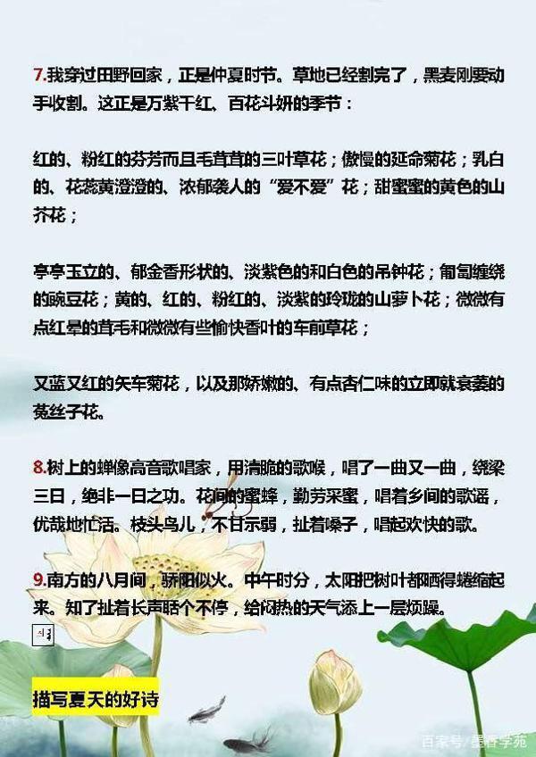 小学语文:描写夏天的好词、好句、好段,合理运用,写出满分作文 8