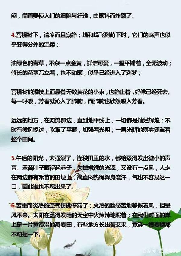 小学语文:描写夏天的好词、好句、好段,合理运用,写出满分作文 7