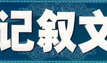 这位司机真了不起 初中记叙文600字
