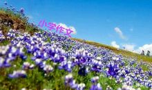 （小）《可爱的小鸡》小学三年级的作文辅导，重在内容的引导