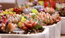 高中考试作文：《家人闲坐，灯火可亲》，这篇文章太美了