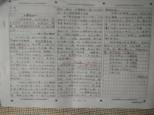 诗词-品味传统文化作文400字