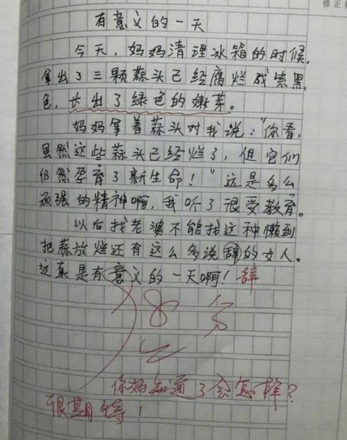 一片苦心作文