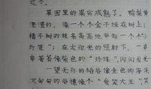 年华恩赐-关于校园生活的作文800字