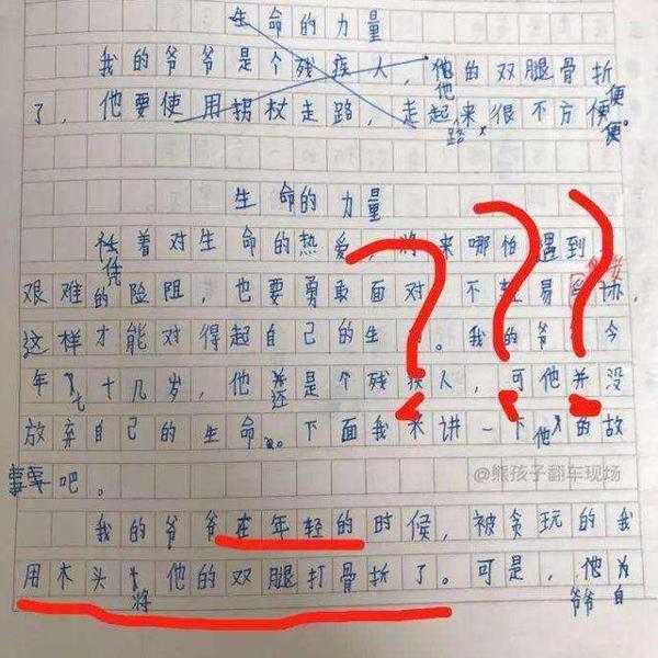 小学生作文讲述“我的妈妈”,脑洞奇特逗笑网友:现在的娃不怕打 4