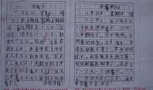 论整容之好与坏 小学生议论文500字