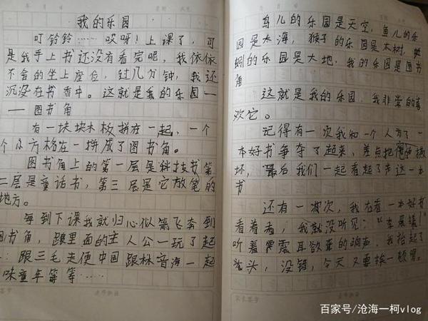小学生写的奇葩作文，总能让我捧腹大笑