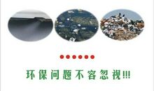 抒情哲理散文：重阳佳节倍思亲_800字