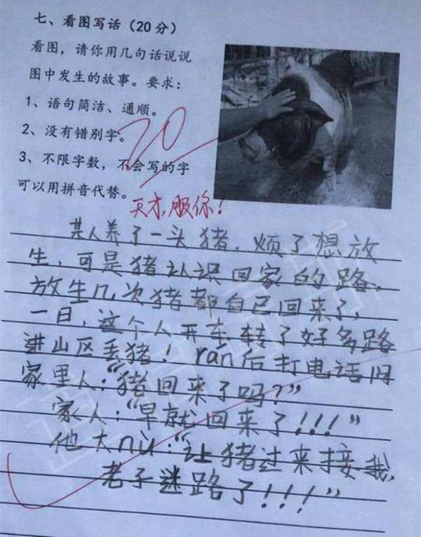 爆笑小学生作文,老师看了笑到肚子疼,网友直呼“专治不开心” 4