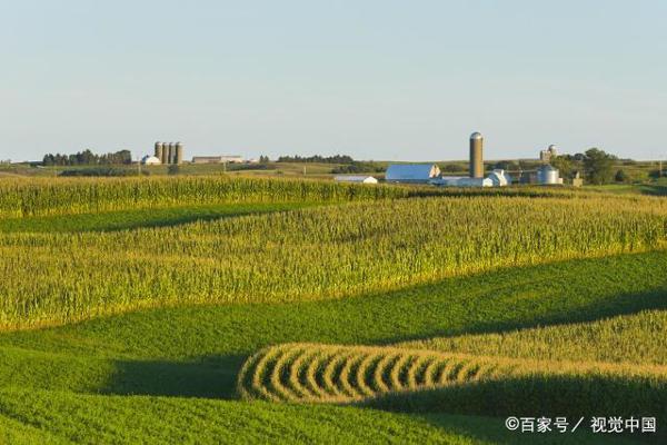 小学生优秀写景作文:田野·小河