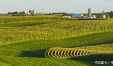 小学生优秀写景作文：田野·小河