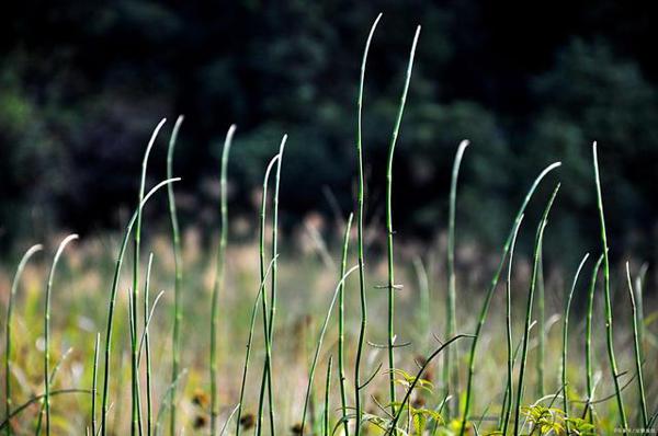 教师点评作文｜致敬“逆行者” 3