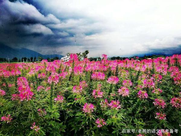 主题:尊重自然,敬畏自然,保护自然 1