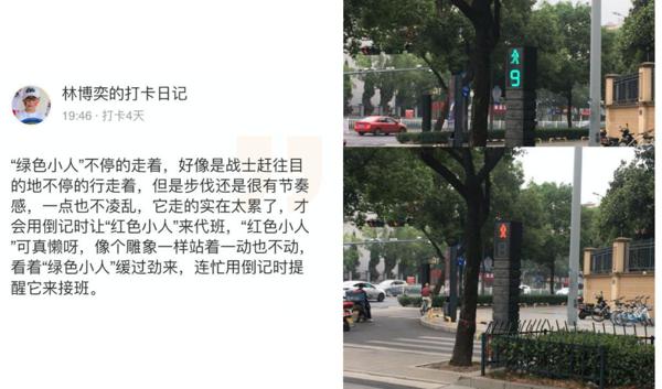 这些观察方法，让他们的作文悄悄发生了变化 9