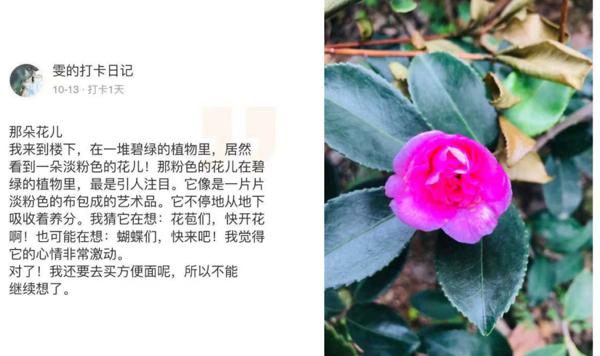 这些观察方法，让他们的作文悄悄发生了变化 8