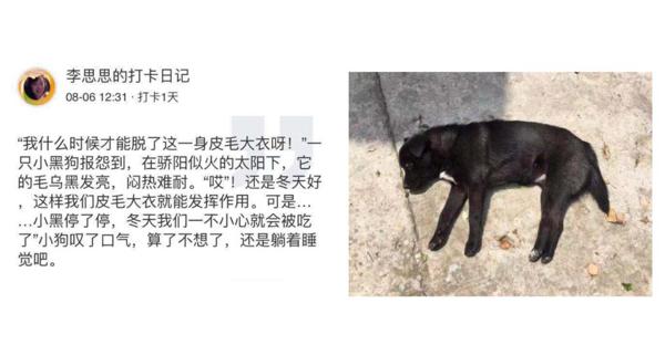 这些观察方法，让他们的作文悄悄发生了变化 7