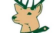 猎鹰威罗 优秀童话作文400字