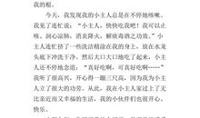 蝙蝠的自述 小学想象作文700字