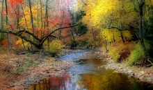 【作文周刊】向日葵作文周刊第三十二期