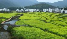 中考优秀作文欣赏：什么是个好