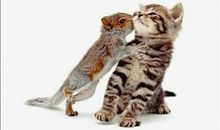 一个农村小姑娘的麻辣作文