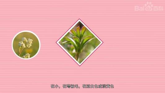 “疫”线面孔读后感｜浙大附小四（1）班叶沐暄：小小口罩，大大依靠