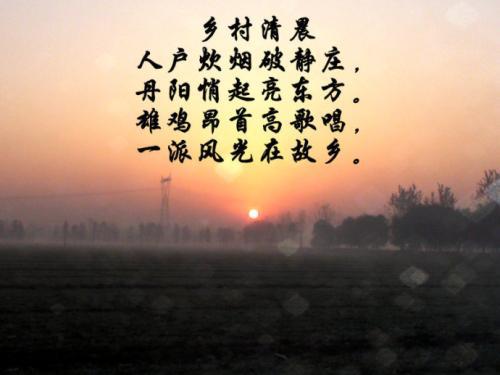 乡村的早晨 写景的作文500字