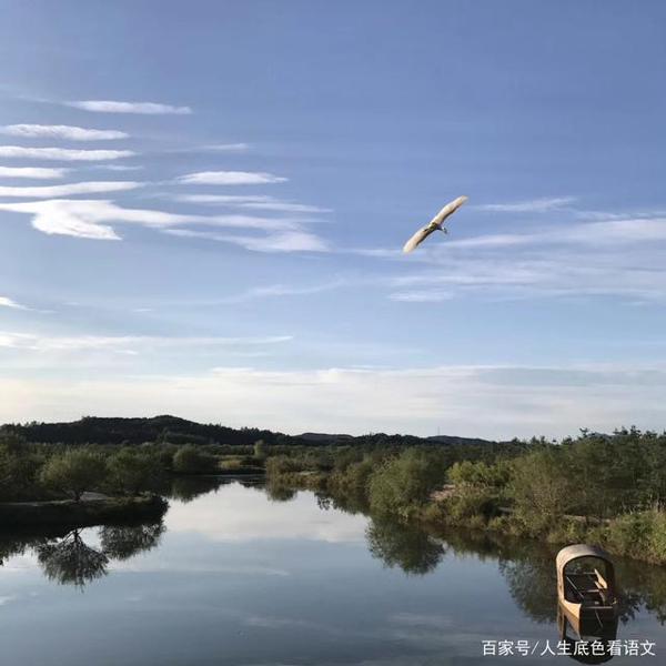 初中语文，关于疫情的作文，照见素材驾驭的边际，应重拾真情实感 1