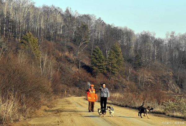 初中语文，关于疫情的作文，照见素材驾驭的边际，应重拾真情实感