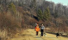 初中语文，关于疫情的作文，照见素材驾驭的边际，应重拾真情实感
