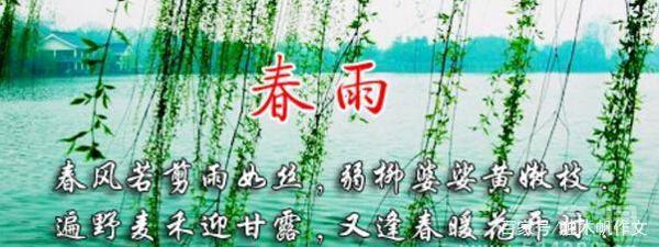 五年级作文:春雨即景