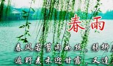 五年级作文：春雨即景