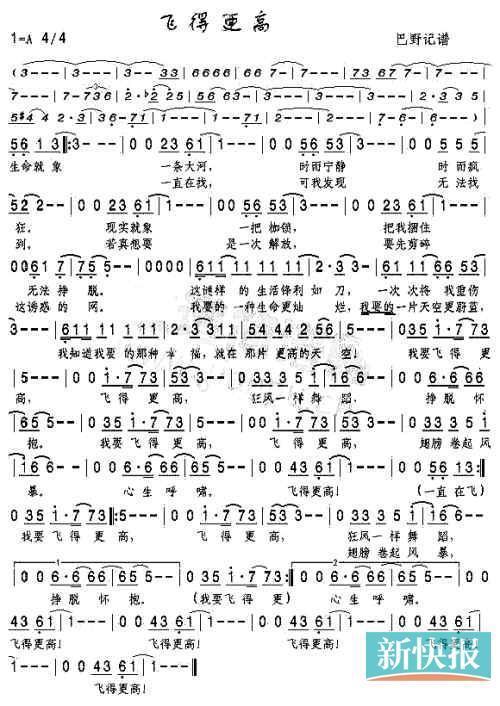 我要飞得更高作文600字