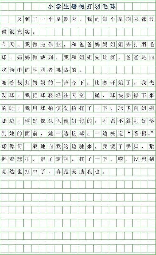 打羽毛球 暑假打羽毛球作文600字