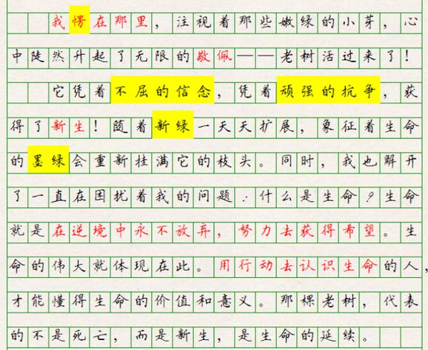 初中语文,哲理一定要有,形象必须感人,所谓没创新也是好作文 7