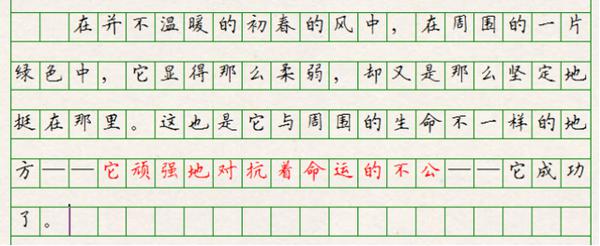 初中语文,哲理一定要有,形象必须感人,所谓没创新也是好作文 6