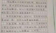 这几篇高考“满分作文”惊艳全场，书写工整流畅，文笔堪比大家