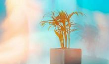 乐读 | “我”不要苦苦地学——《如何学习》读后感