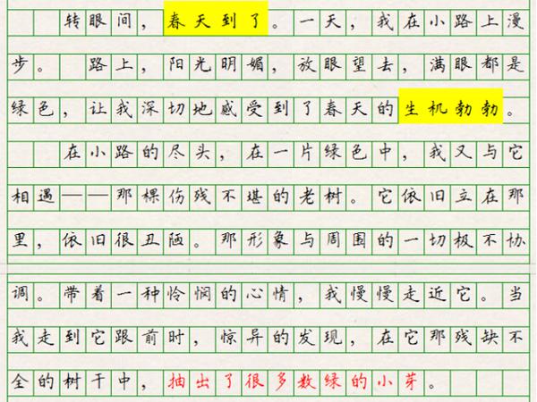 初中语文,哲理一定要有,形象必须感人,所谓没创新也是好作文 5