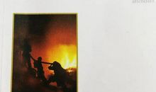 曹晓红：在烈火中淬炼成钢——长篇小说《金刚》读后感